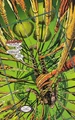 Pike captive.jpg