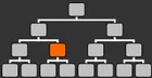 Ranger tree