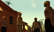 LosSantosVagos