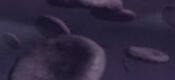 180px-Species 8472 blood cells