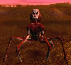 Merek.jpg