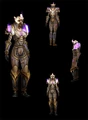 Apaladin-tier-4.jpg