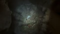 Akary trapped.jpg
