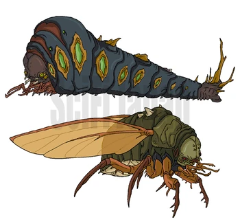 Megapede and Cicada