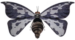 Moon moth droid FF97.jpg