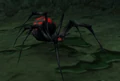 Night Web Matriarch.jpg