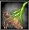 Spell Icon