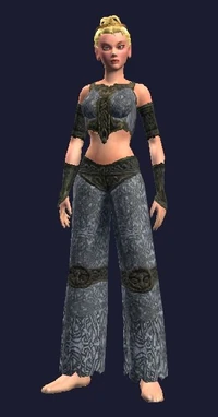 Wu's Fighting Shirt (Visible, Female).jpg