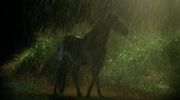 2x09 horse