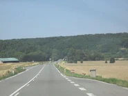 IMG 1873