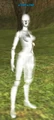 Lost scout.jpg