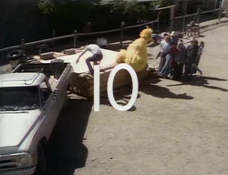 500029
