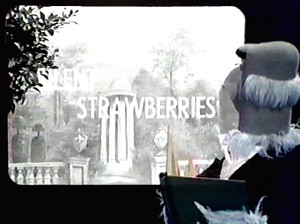 Strawberries1