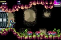 Hornoad