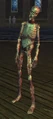 Rotting Thrall (Adept).jpg