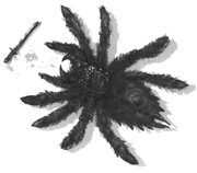 Banespider