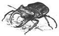 Thumbnail for version as of 03:37, August 11, 2007