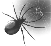 Giantspider