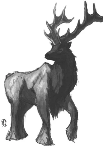 File:Elk.JPG