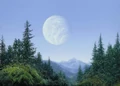 Endor matte.jpg