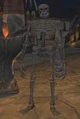 Undying Adherent (Master).jpg