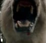 Polarbear-mini.jpg