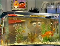 Erniebert-goldfish.jpg