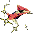 Catspaw3