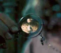 Time-Turner
