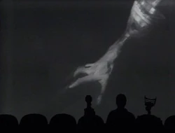 Mst421