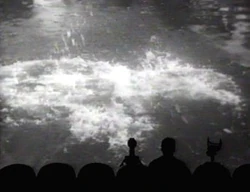 Mst406