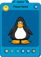 Normal penguin