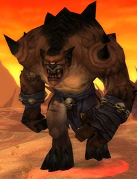 Image of Maggoc