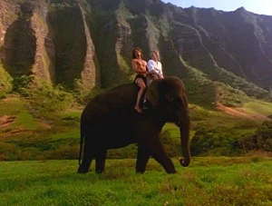Shepelephant.jpg