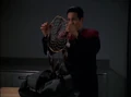 Dream Catcher.jpg