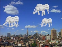 4141-elephantclouds.jpg