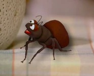 Ant-sesame