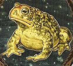 Toad