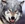 Wolf3