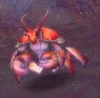Makrura Elder