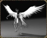 AngelWings.JPG