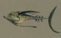 Ray.jpg