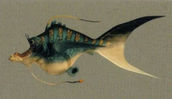 Laa-Schuppenfisch.jpg