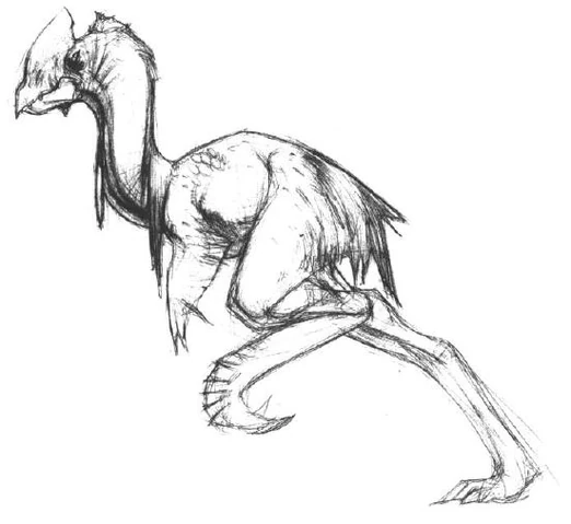 File:TallstriderMoM.JPG