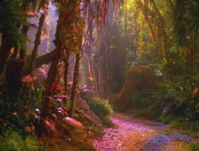 Forest of Forever