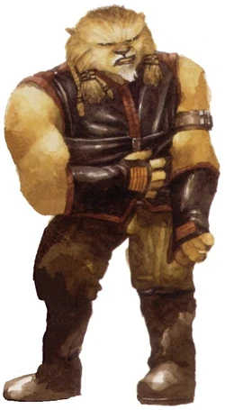 Cathar 2.jpg