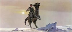 Tauntaun MQ