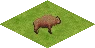 Ts.buffalo.png