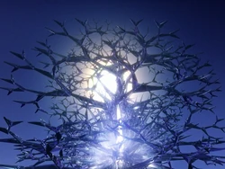 Crystalline entity