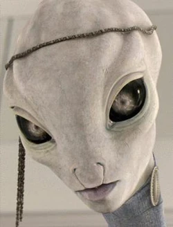 Taun We2.jpg